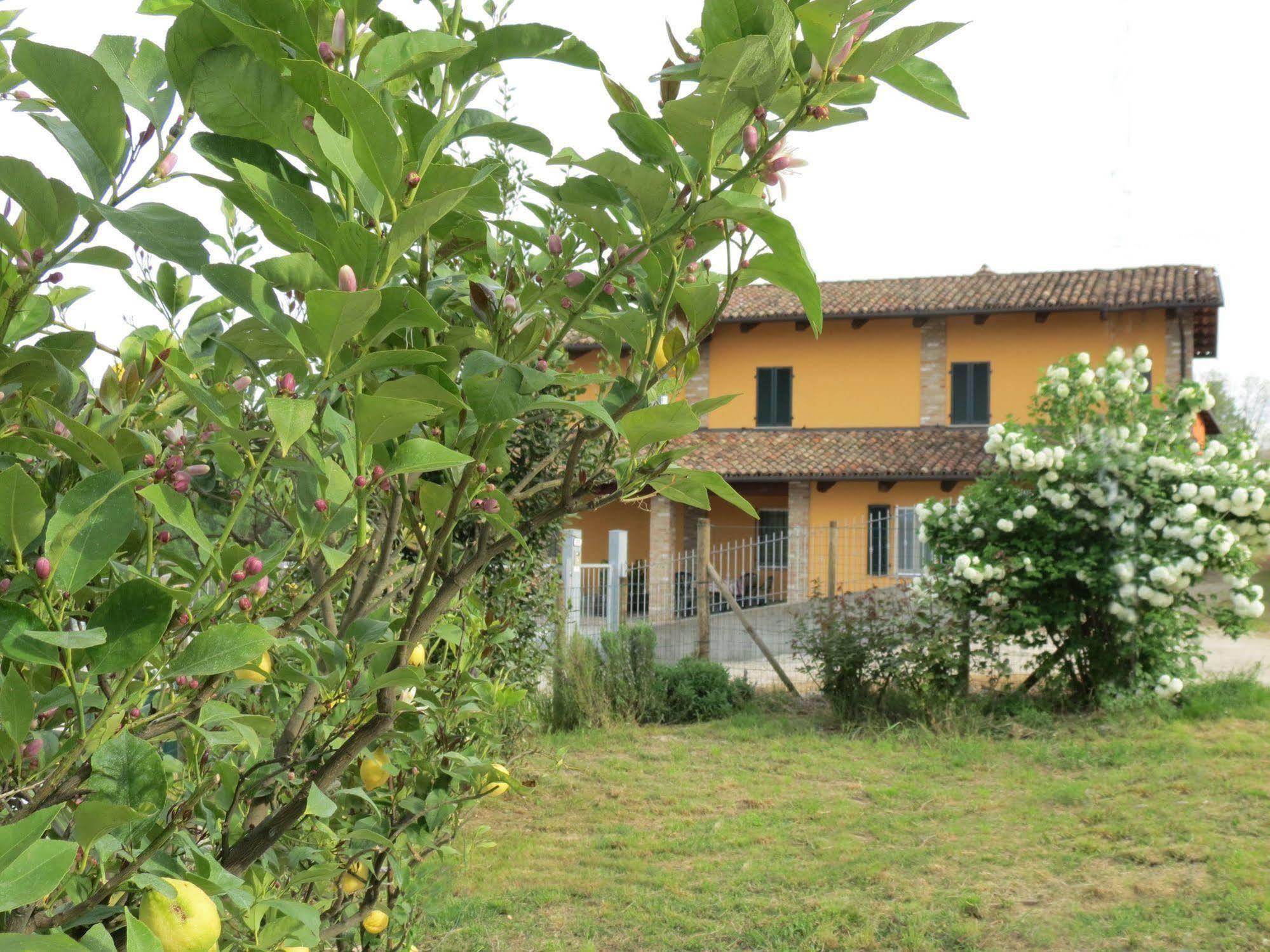 Residenza Albatros Villa Castiglione Falletto Exterior photo